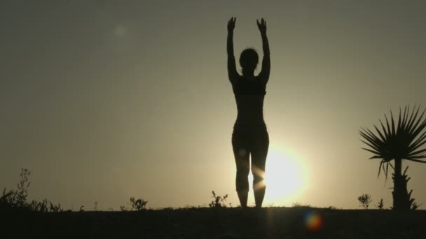 일출의 광선에서 요가 연습 하는 여자의 실루엣. 몸과 마음의 균형 — 비디오