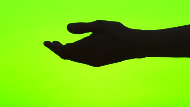 Mužské a ženské ruce držící pohromadě na zelené obrazovce. Kamarádka nabízí pomoc — Stock video