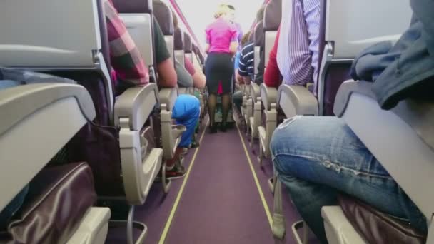 Stewardess serviert Passagieren der Economy Class während des Fluges Kaffee und Mittagessen — Stockvideo