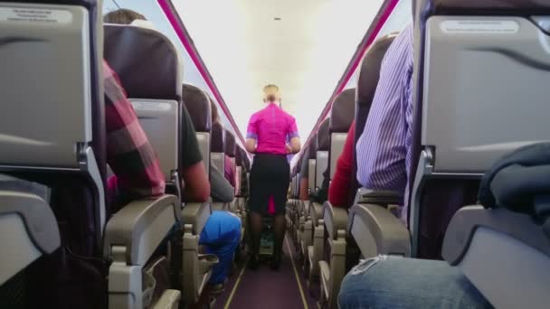 Camarero y azafata en el trabajo, sirviendo el almuerzo a los pasajeros del avión durante el vuelo — Vídeos de Stock