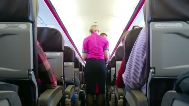 Luchtvaartmaatschappij gastvrouw serveert lunch en dranken te vlucht passagiers. Reizen in het buitenland — Stockvideo
