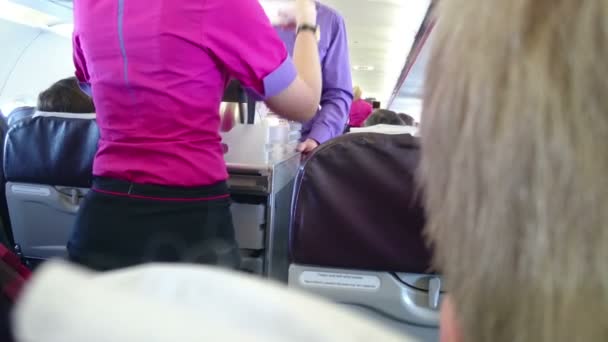 Stewardess serviert Passagieren während des Fluges Kaffee. Transportdienstleistungen — Stockvideo