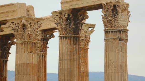 Grand panorama sur les capitales et les architraves au sommet des colonnes, temple Zeus — Video