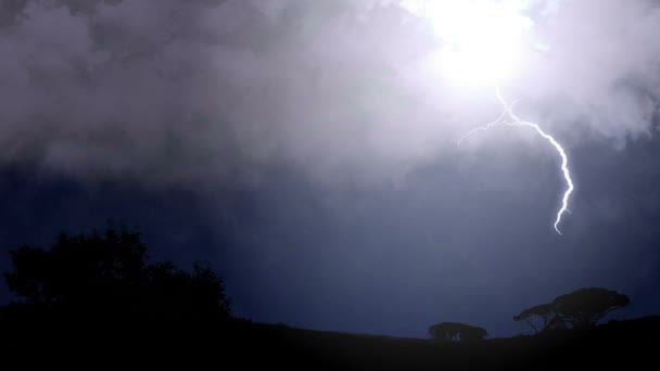 ライトニング ボルト照らす夜の空、激しい雨と大声で雷雨の音。電気 firebolts は、砂漠の田園地帯の地に雲からストライクします。悪い夢予感または不快感を持っている人 — ストック動画