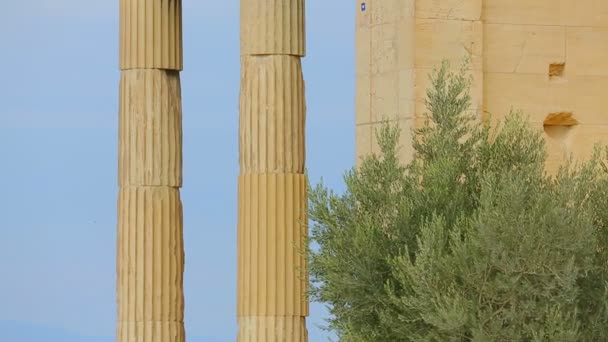 Vertical pan shot of ancient palace with tall marble columns, sightseeing tour — Stock Video