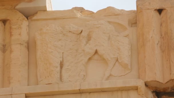 Σμιλευμένη διακόσμηση της μετόπης λεπτομέρεια στη ζωοφόρο του Παρθενώνα, αρχαίου ναού — Αρχείο Βίντεο