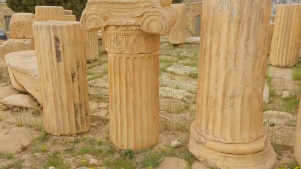 Parte de la antigua columna de mármol con capital sofisticado, patrimonio cultural — Vídeos de Stock