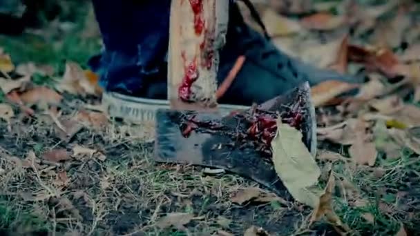 Dangerous psycho murderer drags bloody axe from crime scene, crazy serial killer — Stock Video
