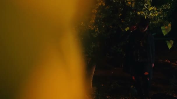 夜の森を歩くサイコ マニアックを見て怖がっている犠牲者の視点 — ストック動画