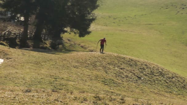 Человек, путешествующий по тропе в зеленой горной долине, наслаждающийся одиночеством, активным отдыхом — стоковое видео