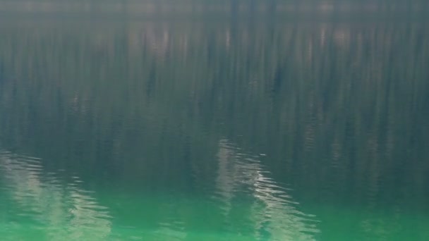 活動的な余暇を楽しんで、鏡のような湖の水の表面で漕ぐ男性スポーツマン — ストック動画