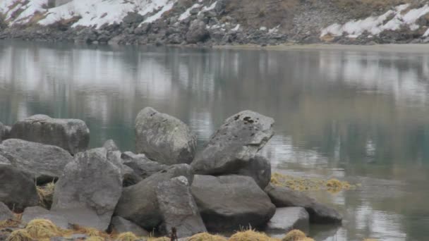 川岸の古い石、鏡のような水面波紋、永遠のシンボル — ストック動画