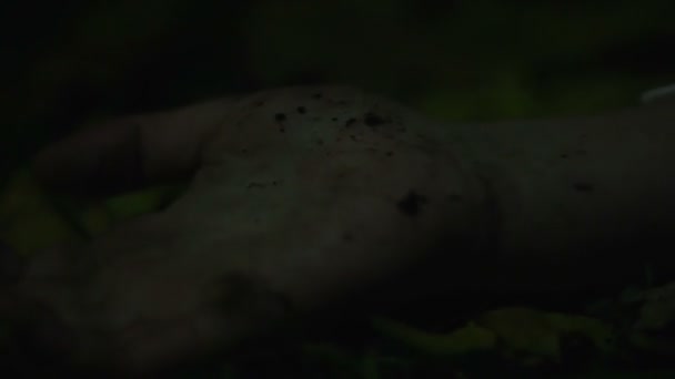 Hand av död person på marken i mörka skogen, mördare droppar offrets liket — Stockvideo