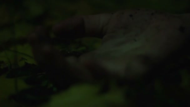 Close-up of person's hand convulsing, maniac strangling victim in dark forest — Stock Video