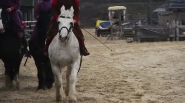 Askeri kampanya için bırakarak ata, binerek Ortaçağ Kral'ın Süvari Tümeni