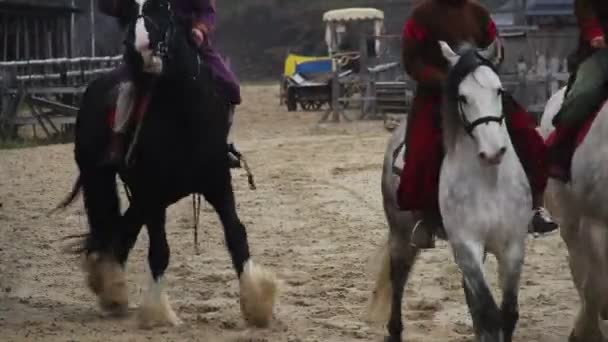 Viele Reiter in mittelalterlichen Dieneranzügen, die Stammespferde zähmen — Stockvideo