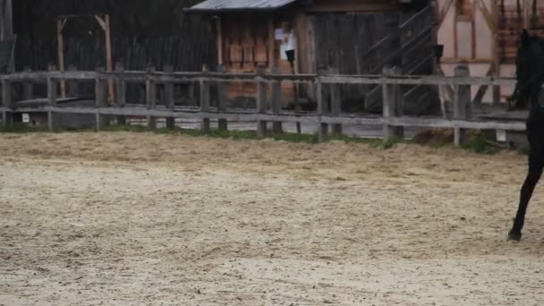 Spettacolo di equitazione al museo storico all'aperto, festa della cultura medievale — Video Stock