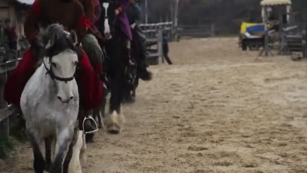 Grupo de cavaleiros em ternos medievais montando cavalos pedigree em galope, exército real — Vídeo de Stock