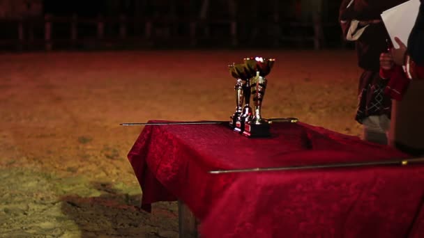 Ceremonia de premiación en el torneo de artes marciales — Vídeos de Stock