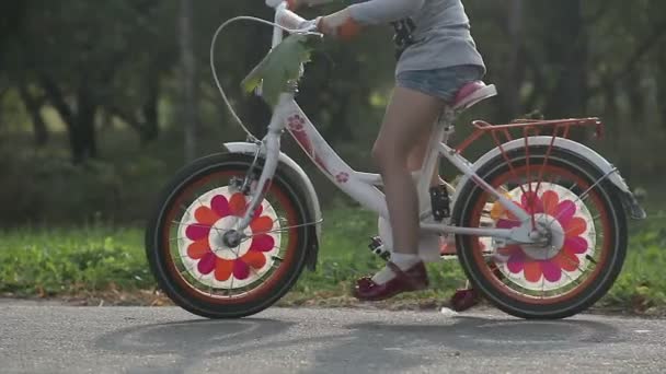 Девочка учится кататься на велосипеде — стоковое видео