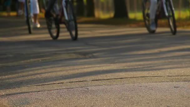 Människor ridning cyklar i parken på soliga sommardag, friska utomhusaktivitet — Stockvideo