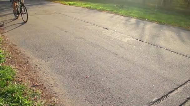 Mladý muž na kole s dítětem v dětské autosedačky, otec a dítě trávit čas společně — Stock video