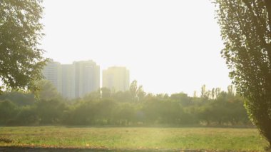 At Binme zarif genç bayan