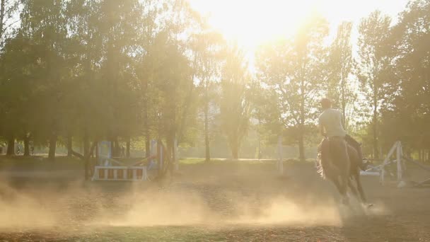 Masculino jockey galopando montado em cavalo esportivo na pista de corrida, equitação — Vídeo de Stock