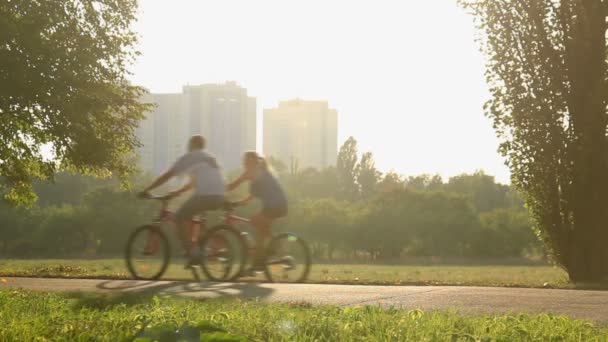 Felices parejas casadas ciclismo — Vídeos de Stock