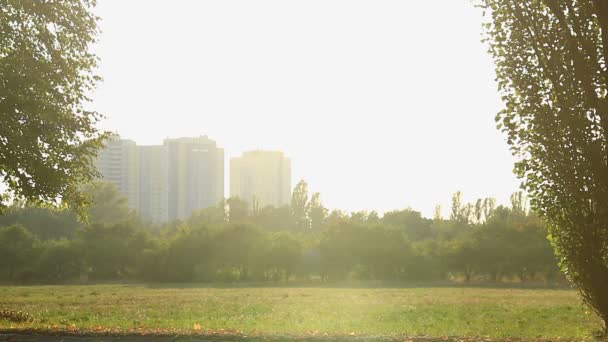 People cycling in park — Stock Video