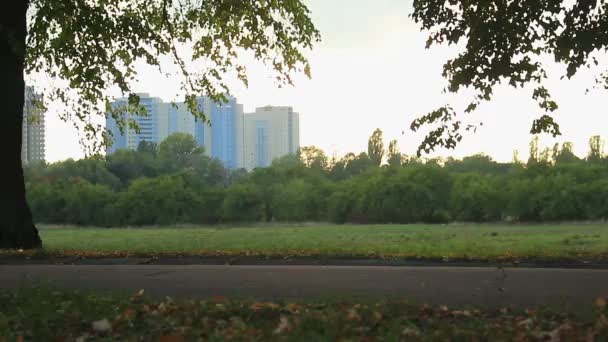 Mensen fietsen in het park — Stockvideo