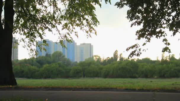 Belle soirée d'été dans le parc de la ville — Video