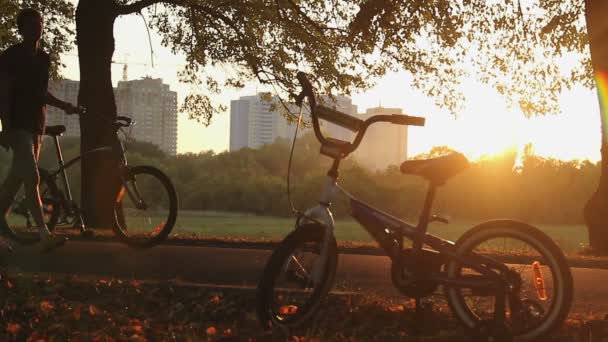 Bicicleta izquierda en el parque — Vídeos de Stock
