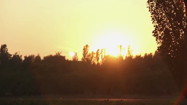 Rayons de coucher de soleil doré fantastique pénétrant sommets d'arbres dans un beau parc — Video