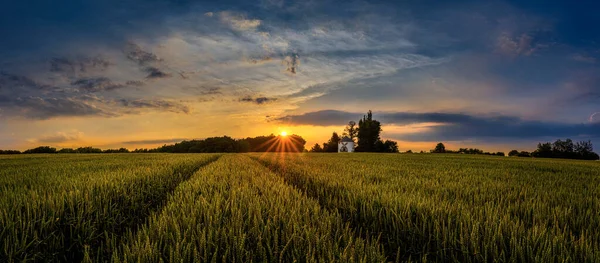 Superbe Coucher Soleil Lever Soleil Sur Moulin Vent Sur Champ — Photo