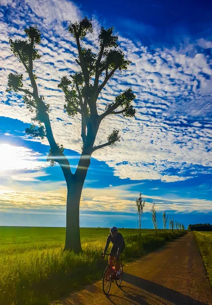 Tree Cyclist Dramatic Skyline — Foto de Stock
