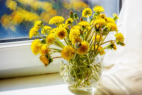 Löwenzahn in der Vase auf der Fensterbank — Stockfoto