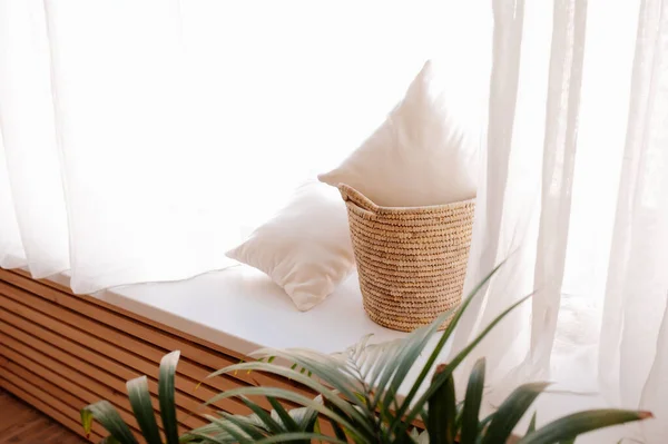 Soft Light Pillows Wide Wicker Basket Window White Curtains Palm — Stock Photo, Image