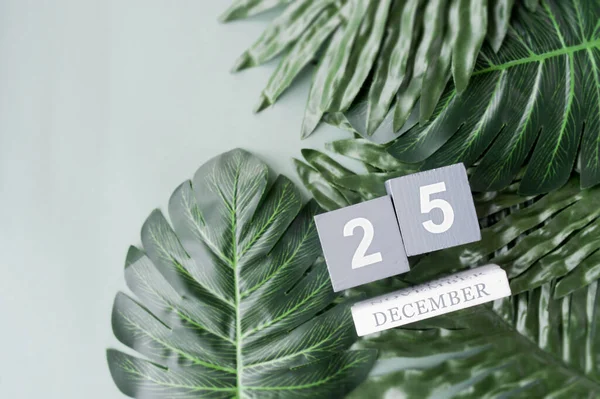 December 25 date on wooden square calendar on large tropical leaves, on pastel blue background with space for text, selective focus