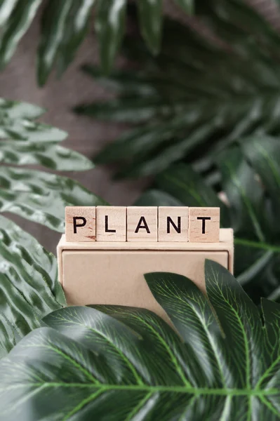 Plant Lettering Made Bamboo Eco Material Letters Large Tropical Leaves — Zdjęcie stockowe