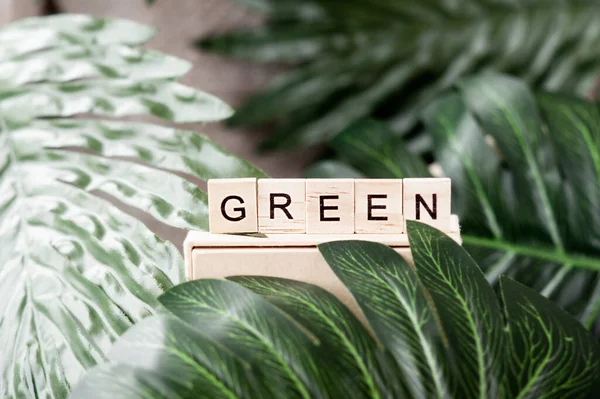 Green Lettering Made Bamboo Eco Material Letters Large Tropical Leaves — Foto de Stock