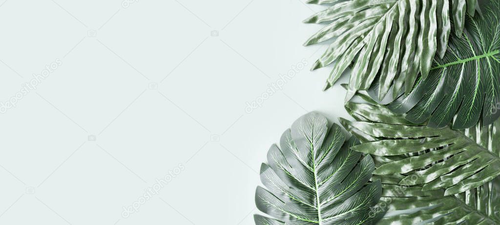 large tropical green leaves of different shapes on soft pastel blue background with space for text, long banner format, selective focus
