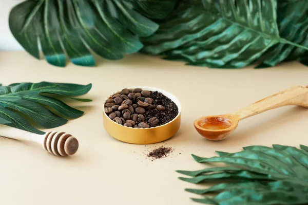 Coffee scrub and coffee beans in Golden round jar, cosmetic oil and wooden honey stick with tropical large green leaves, home cosmetics, cosmetic layout of anti-cellulite products, selective focus