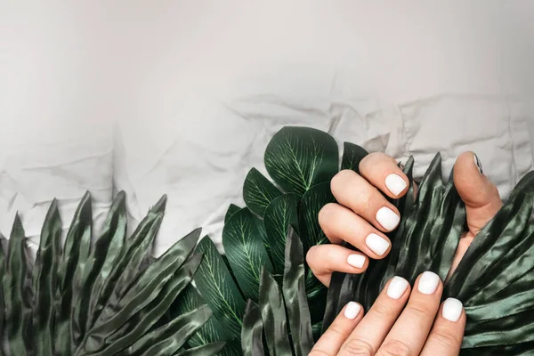 Kobiece Dłonie Świeżym Schludnym Białym Manicure Liściach Zielonych Roślin Palm — Zdjęcie stockowe