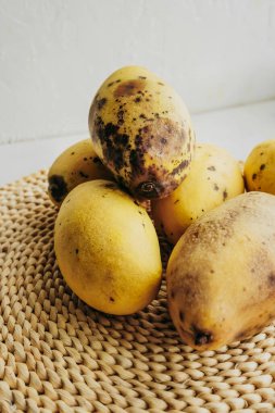Birkaç çürümüş sarı mango, dokuma eko-peçetede çürük ve yatak yaraları var. dikey yiyecek içeriği, seçici odak