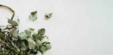 Pankart sabitlenmiş okaliptüs sapları ve beyaz arka planda yeşil bir torba içinde bırakır. Mantıklı tüketim, refah felsefesi, iç doğal baskı posteri, seçici odaklanma