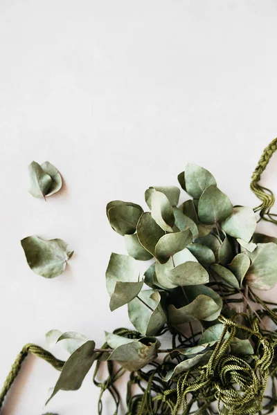Getrocknete Stabilisierte Eukalyptusstämme Und Blätter Grünem Saitensack Auf Weißem Hintergrund — Stockfoto