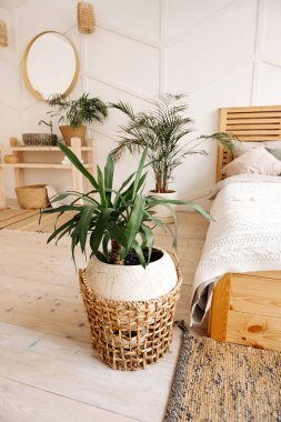 Bej hasırlı yeşil bitki geri dönüşümlü eko sepet parlak iç oda ve rahat yatak. Scandi 'nin şık, minimalist iç tasarımı. Evde büyüyen ve ilgilenen bitkiler, dikey içerik ilhamı