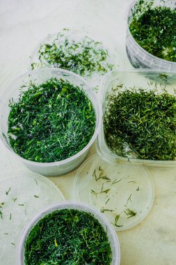 Plastik bir kabın içinde donmuş taze yeşil dereotu. Taze tutmak için yiyecekleri dondurmak. Makul ürün depolama. Yiyecek malzemeleri. seçici odak