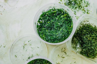 Plastik bir kabın içinde donmuş taze yeşil dereotu. Taze tutmak için yiyecekleri dondurmak. Makul ürün depolama. Yiyecek malzemeleri. seçici odak